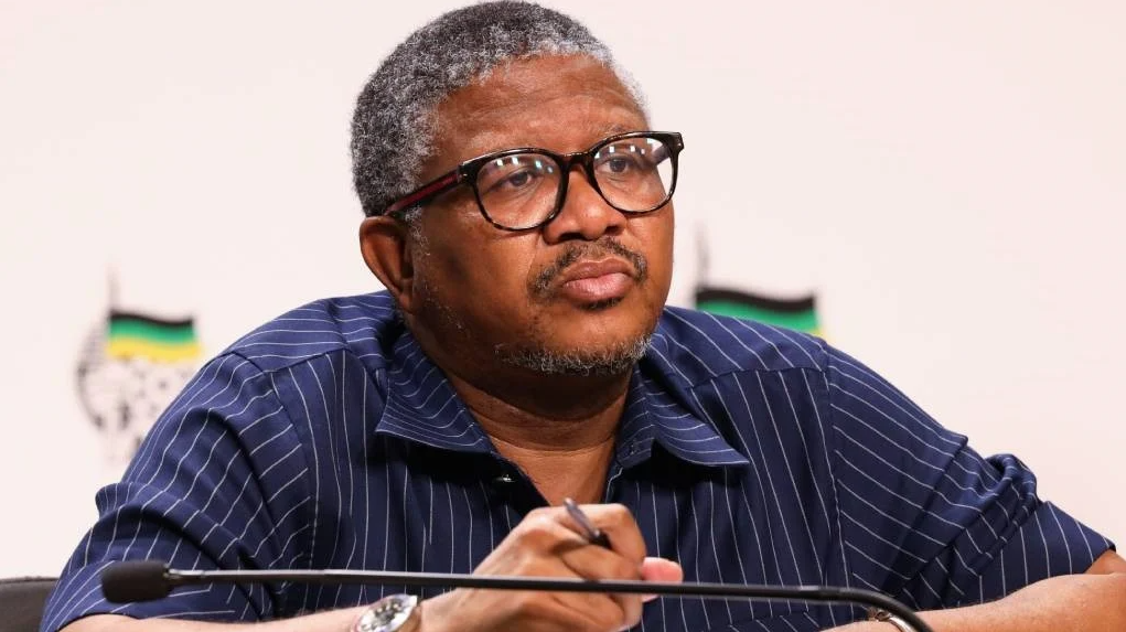 AfriForum Disappointed At NPA Decision Not To Prosecute Fikile Mbalula Over R600k Dubai Trip Allegation - SurgeZirc SA